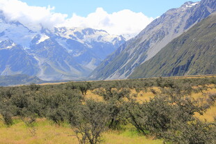 壮丽山间景色 绿意盎然