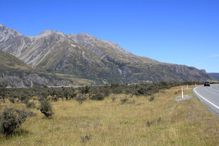 山间公路旁的开阔自然景观