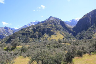 壮丽山景与葱郁植被