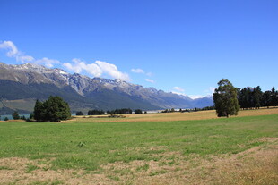 草原风光与远山美景