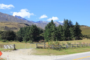 山间公路旁的林木与远山