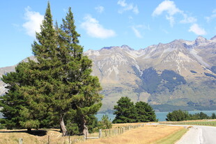 湖畔公路旁的青山绿树