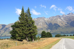 公路旁的山林与远山美景
