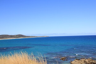 海边美景 蓝色大海与岸草