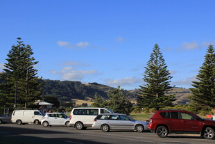 户外停车场景 绿树蓝天相伴