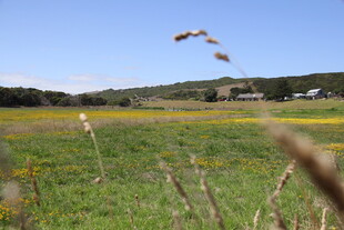 广袤田野间的自然景致