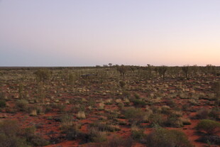 夕阳下的红土地荒野景观