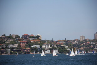 海上帆船与岸边建筑景观