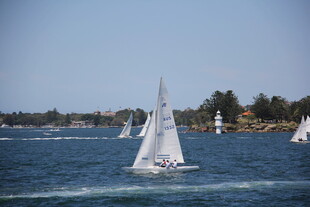 海上帆船航行美景