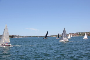 海上帆船竞赛场景