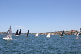 海上帆船竞赛场景
