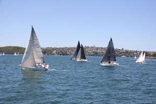 海上帆船竞赛场景