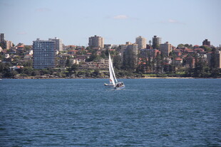 海上帆船与城市天际线