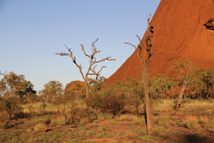 澳大利亚艾尔斯岩荒野景观