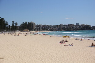 热闹的沙滩海滨景象