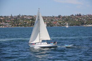 海上白帆船航行