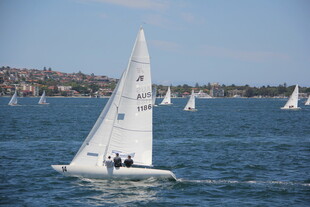 海上帆船航行美景