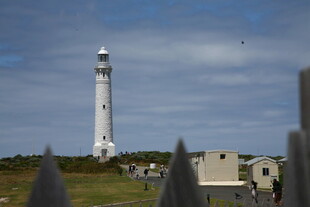 海岸边的高耸灯塔