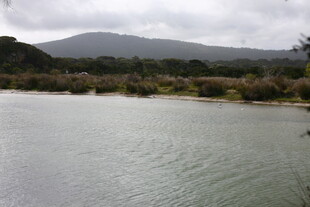 宁静湖畔的自然景致