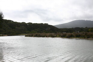 宁静湖畔的自然景致