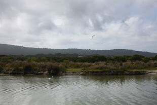 宁静湖畔的自然风光