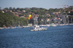 海港中的船只与岸边景致