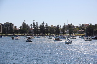 海港船只与岸边绿树景观