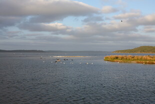湖畔风光 宁静水域景色