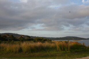 黄昏湖畔草地风景