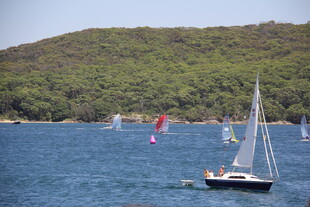 海上帆船畅游美丽风光