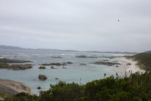 海岸风光 碧海绿树相映