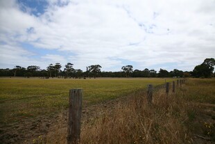 田野围栏边的开阔风景