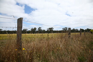 田野中的木桩围栏