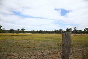 田野边的木桩与开阔风景