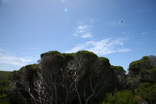 蓝天覆顶的独特岩石景观