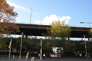 城市中的高架桥及周边景象