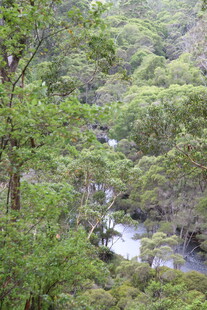 山林间的潺潺溪流
