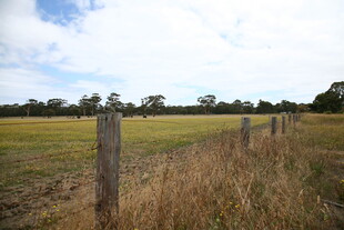 田野围栏边的开阔风景
