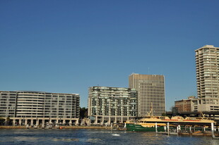 城市河畔高楼景观