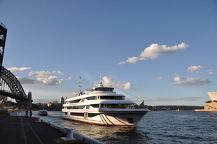 港口边的大型游船