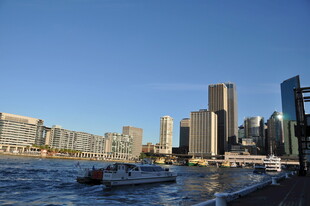 海滨城市的繁华天际线