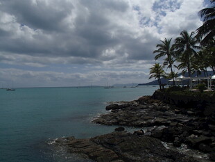海边椰树旁的壮阔海景
