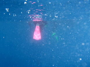 深海中发光的神秘物体