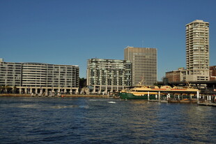 河畔城市建筑群风景