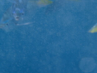 蓝色抽象纹理背景画面