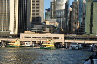 悉尼城市滨水风光