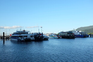 港口停泊的多艘船只