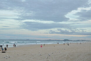 黄昏下热闹的沙滩景象