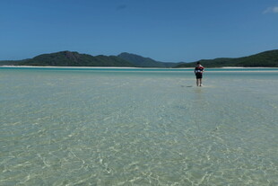漫步清澈浅海的美丽景致