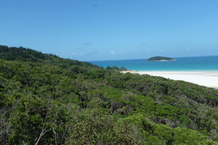海岸绿植环绕的美丽景致